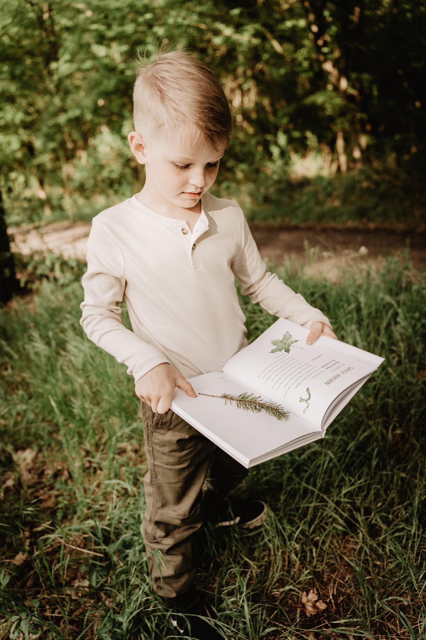 Herbarium Sammelalbum