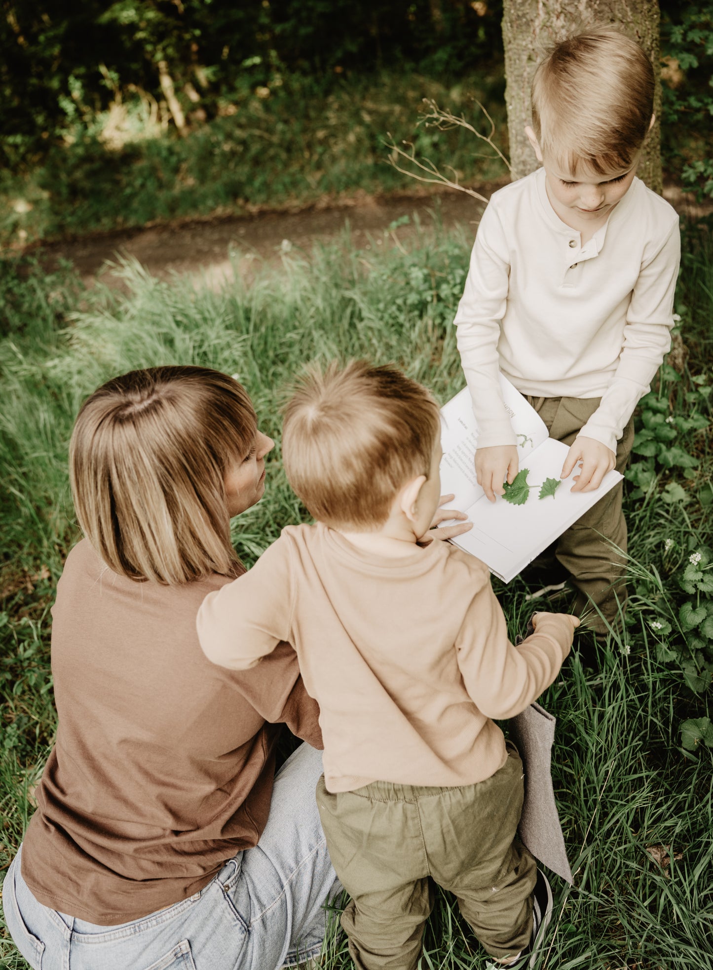 Herbarium Sammelalbum