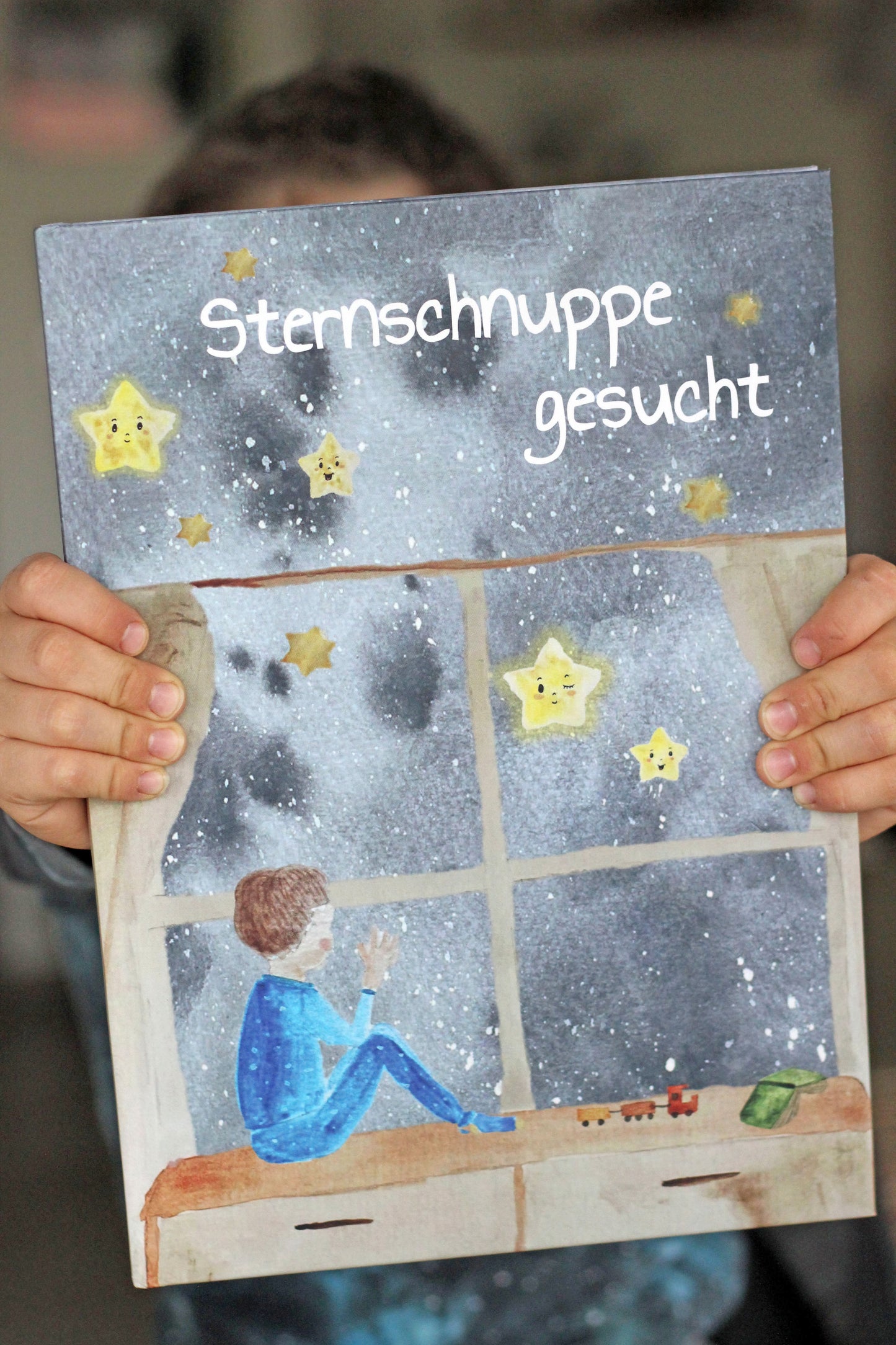 Kinderbuch "Sternschnuppe gesucht"