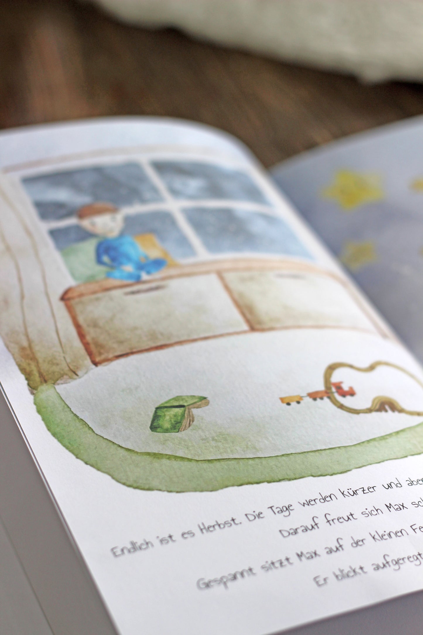 Kinderbuch "Sternschnuppe gesucht"