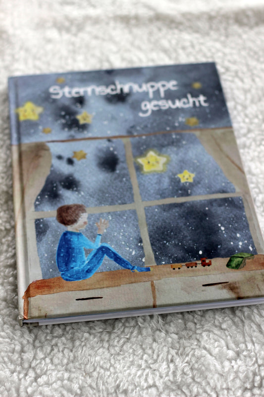 Kinderbuch "Sternschnuppe gesucht"