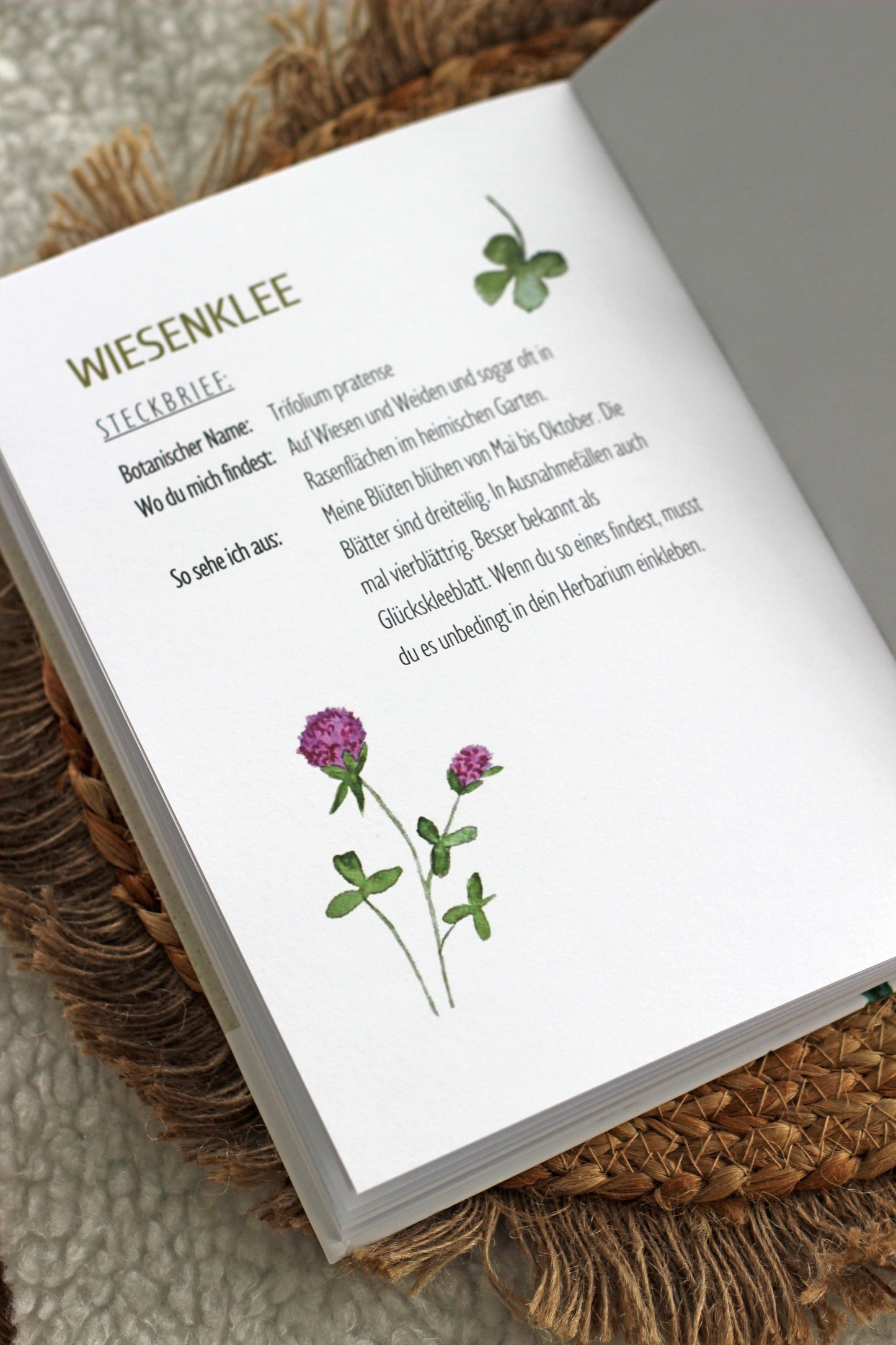 Herbarium Sammelalbum