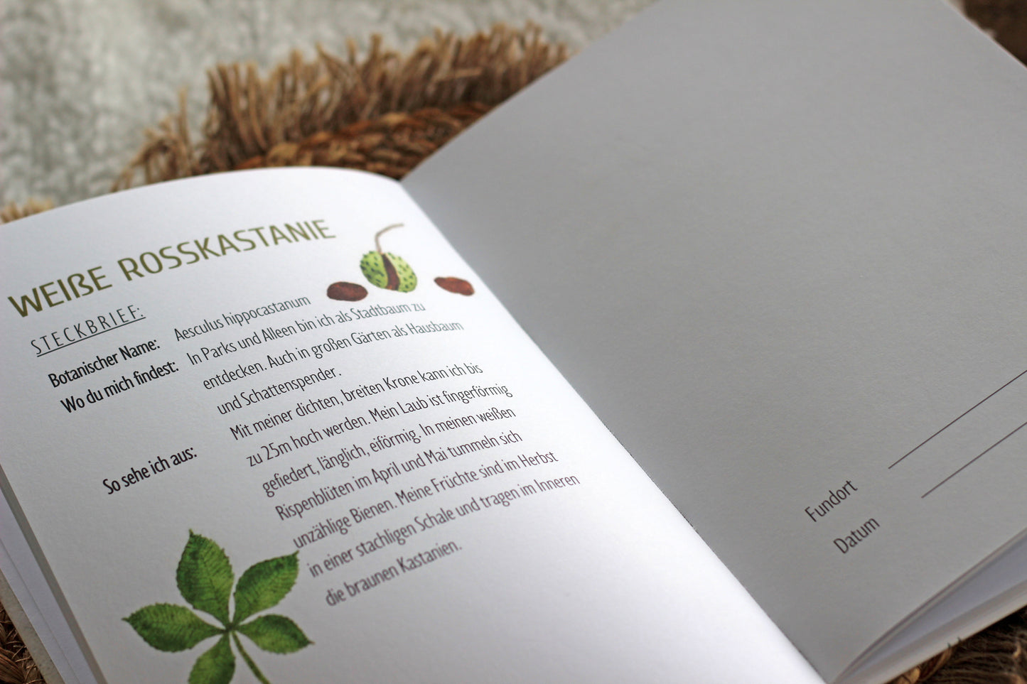 Herbarium Sammelalbum