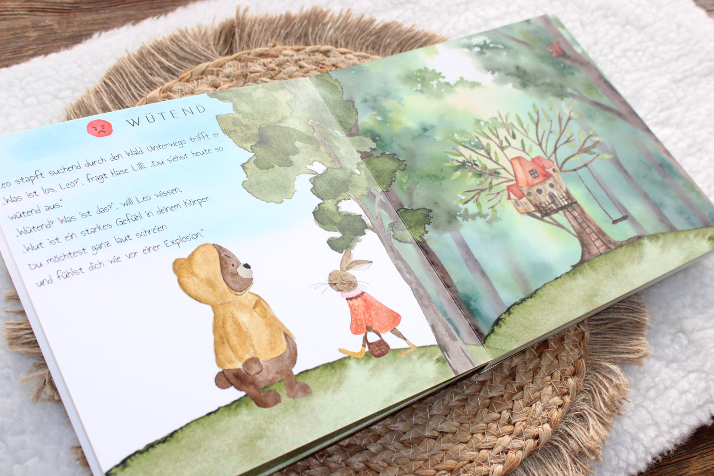 Kinderbuch "Leo fühlt sich heute...?"